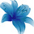 :iconmoonlily7: