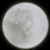 :iconmoonlitwitchstock: