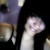 :iconmoonmarked36: