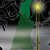 :iconmoonofink:
