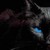 :iconmoonpanthera:
