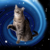 :iconmoonpelt828: