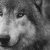 :iconmoons4ever:
