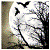 :iconmoonsferatu: