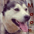 :iconmoonshine09: