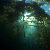 :iconmoonshinehollow: