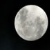 :iconmoonshineline: