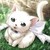 :iconmoonshiro: