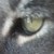 :iconmoonshrink: