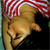 :iconmoonstruckfool: