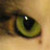 :iconMoonTabu77: