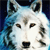:iconmoonwolf:
