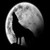 :iconmoonwolf287: