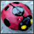 :iconmoonxseed: