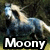 :iconMoonystock: