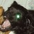 :iconmoooras: