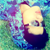 :iconmoootas: