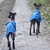 :iconmoose-randy: