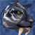 :iconMoosetracks: