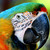 :iconmoothis13: