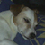 :iconmoozakmusic: