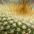:iconMoPad: