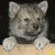 :iconmoparfurr: