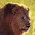 :iconmophasa: