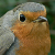 :iconmorbid-beaver: