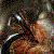 :iconmorbid-dark-death: