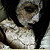 :iconmorbidbry: