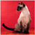 :iconmorbidmelody: