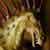 :iconmorbidweasel: