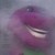 :iconmordekai99:
