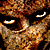 :iconmordred: