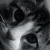 :iconMorein: