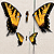 :iconmorepara:
