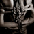:iconmoretagoldrider: