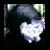 :iconmorgan-eve: