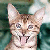 :iconmorganannemarie: