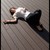 :iconmorganbogy: