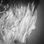 :iconmorgane2302:
