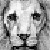 :iconmorganicusmaximus: