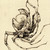 :iconmorgontupp: