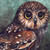 :iconmorgybird: