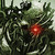 :iconmori-kage: