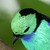 :iconmoriagam66: