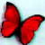 :iconmoribundus-luna: