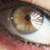 :iconMorit01: