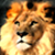:iconMorkur: